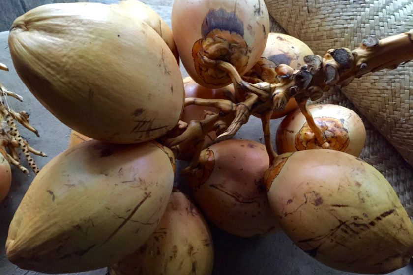 beauty uses coconut